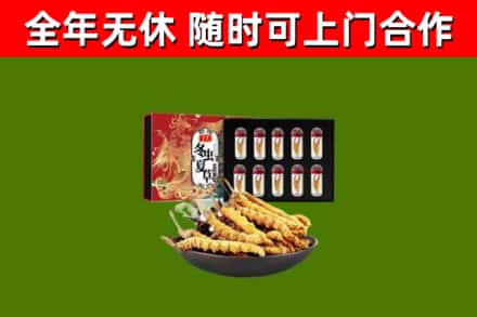 九寨沟回收冬虫夏草价格